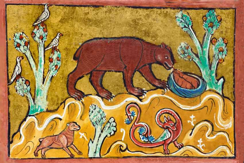 L'orso famelico si rivela una madre amorevole