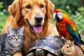 Animali nelle nostre case